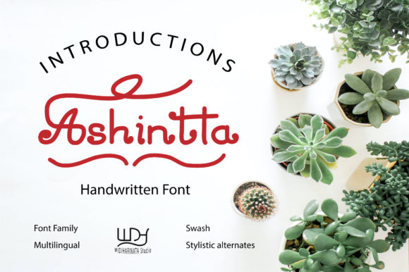 Ashintta: A Delicate Handwritten Font for Elegant Craft and Branding