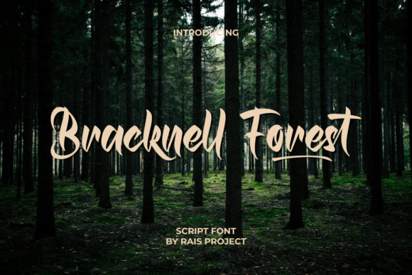 Bracknell Forest: A Luxurious Script Handwritten Font for Elegant Editorial Design