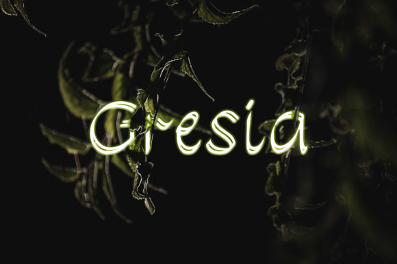 Gresia: A Handwritten Font That Elevates Campaign Typography